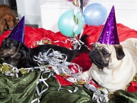 Hudarnas högtidsbilder