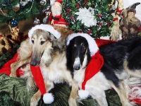 Hudarnas högtidsbilder