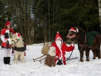 Hundarnas högtidsbilder
