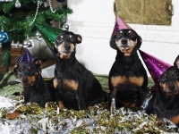 Hudarnas högtidsbilder