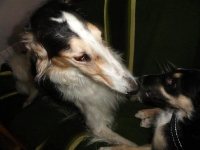 H-kullen och E-Kullen