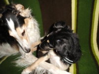 H-kullen och E-Kullen