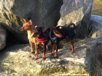  C-Kullen,   D-Kullen