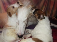 Valparna nästan 4 veckor