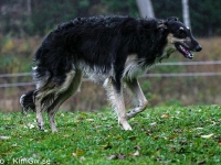 2014-10-18  Herakles, Herkules