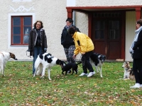 2014-10-18 Hugin, Hugo, Hel, Lajka,  Hemera, Emmyloo och Hestia, Enya
