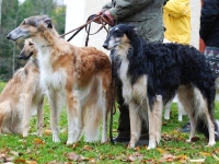 2014-10-18  Cayenne, Gina och Klasse