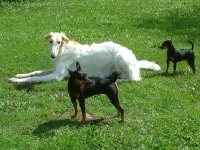 Doris, Amie och Brizby