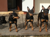 Iza, Brizby, Atti och Amie